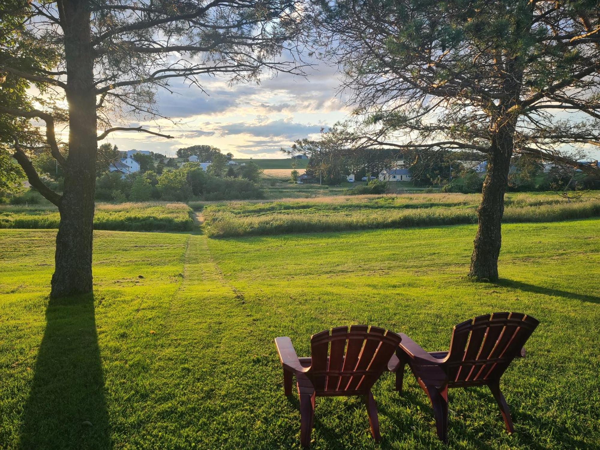 Margate Homestead 'Art House' /Views/Beaches/Golf Kensington Esterno foto